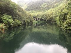 -紫云谷景区