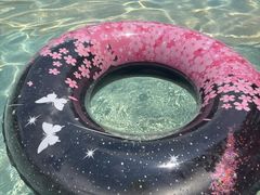 -重庆海昌加勒比海水世界