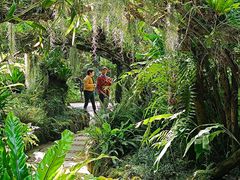 -深圳仙湖植物园
