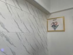 -凡碧诗毛孔收细