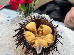 海胆-日月昇渔家菜·海肠捞饭·大连海鲜(星海公园店)