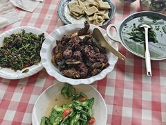 -绿草墩
