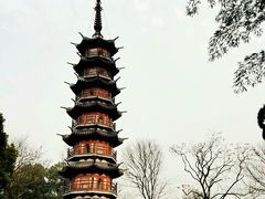 -上海佘山国家森林公园西佘山园