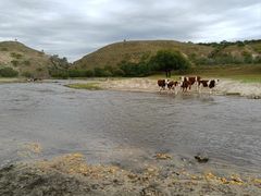 -塞罕坝国家级自然保护区