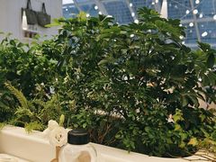 -大树餐厅(红旗街万达店)