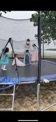 -上美四季动物农场