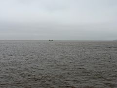 -金海湾海鲜排档(朱家尖店)