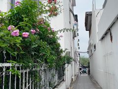 -洋湖国家湿地公园