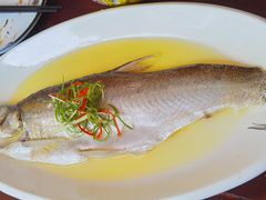 -应天大明王朝·南京菜创始店(中山陵店)