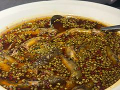 耗儿鱼-龙宴海鲜城(经中路店)