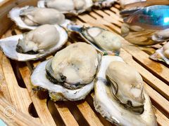 -新海渔港·胶东海鲜家常菜·家宴(奥体中心店)