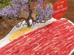 -牛鼎盛新疆雪花鲜牛火锅(武夷绿洲 店)