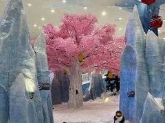 -湘江欢乐城欢乐雪域