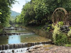 -广州白江湖森林公园