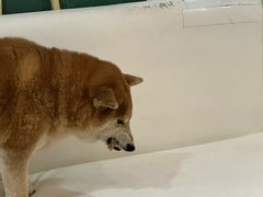 -小时光咖啡馆(北锣鼓巷店)