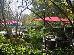 -杭州西子湖四季酒店-WL BISTRO西湖餐厅(灵隐路店)