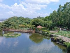 -广州莲花山旅游区