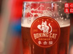鲜酿啤酒-Boxing Cat Brewery拳击猫精酿啤酒馆(永福店)