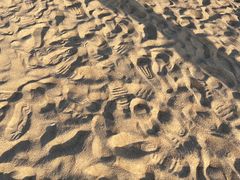 -青岛第一海水浴场