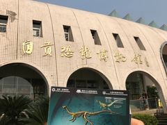 -自贡恐龙博物馆