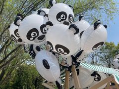 -苏州太湖国家湿地公园