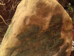 -红色江山(首钢国际大厦店)