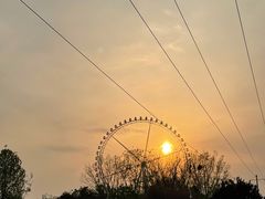 -石家庄市动物园