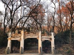 -灵谷景区