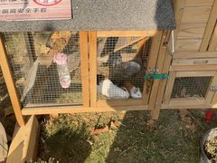 -HERRE·FARM 赫尔露营农场·团建聚会包场