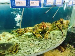 -鹊华居·地道鲁菜·海鲜·融合味(大明湖店)