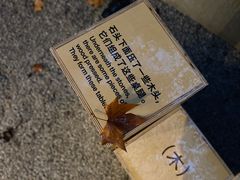 -安福路