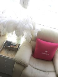 -Sasoo三和秀科技护肤抗衰中心