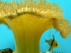 -北戴河圣蓝海洋公园