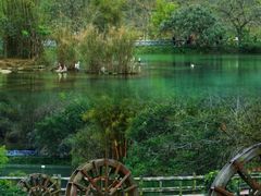 -靖西鹅泉风景区