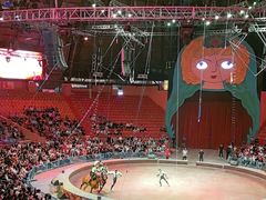 -俄罗斯国家大马戏团