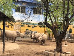 景点-西安秦岭野生动物园
