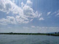 -滕州微山湖红荷湿地景区