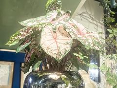 -弗劳尔花艺坊(龙涛店)