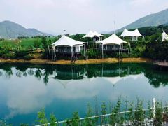 -帐篷客·溪龙茶谷度假酒店