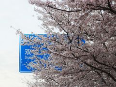 -永乐路-路侧停车场