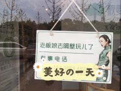 -歌曼丽草本减重