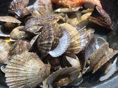 -虾宝贝胶东海鲜·渔家菜(小西天店)