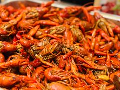 -上海大宁福朋喜来登酒店大堂吧(共和新路店)