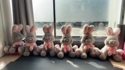 -兰瑜伽·普拉提