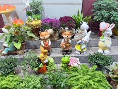 -1937青岛老味道·海肠捞饭·青岛菜(大鲍岛栈桥店)