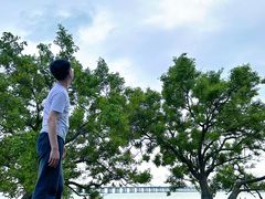 -宝安西湾红树林湿地公园