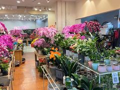 -双季花艺园艺市场(浦东店)