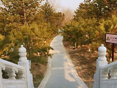 -西海子公园
