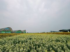 -中国天府农业博览园