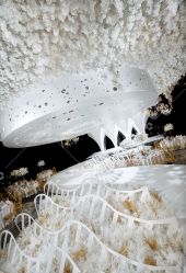 点击看大图 -三色锦婚礼定制